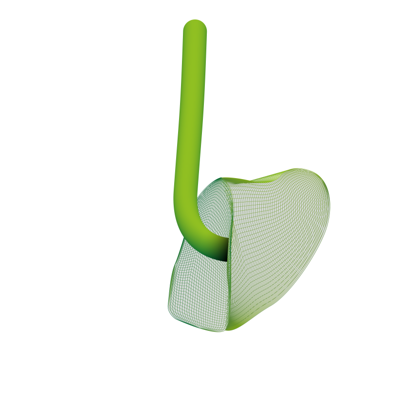 Otoplastik Download